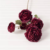 Burgundy Ranunculus Pick