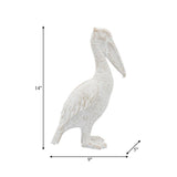 White Standing Pelican