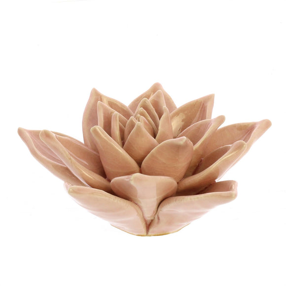 Ceramic Succulent in Blush