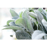 Silk Rabbit Ear Stems