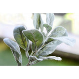 Silk Rabbit Ear Stems